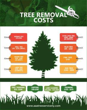 Tree Service Marketing, Arborist Climbing Trees, Tree Removal Cost, Arborist Climbing, Tree Arborist, Lawn Care Business Cards, Small Pine Trees, Tree Removal Service, Stump Removal