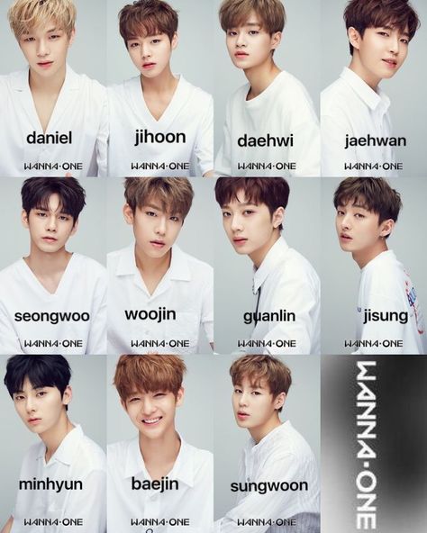 wanna one members name✨ Xikers Group Photo, Daniel Wanna One, W Names, Jaehwan Wanna One, Kpop Group Names, Full Names, Guan Lin, Lai Kuan-lin, Bae Jin-young