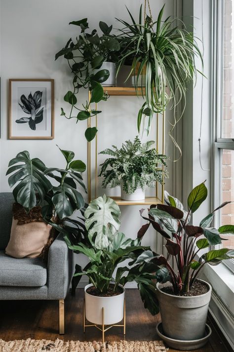 Ensure your apartment plants thrive by choosing the right potting mix with these helpful tips. #ApartmentPlants #PottingMix How To Decorate With Plants Indoors, Corner Decor Living Room, Plant Living Room Aesthetic, Plant Interior Design, Dark Modern Home, Small Living Room Ideas Cozy, Sunny Living Room, Plant Decor Living Room, Living Room Plants Decor