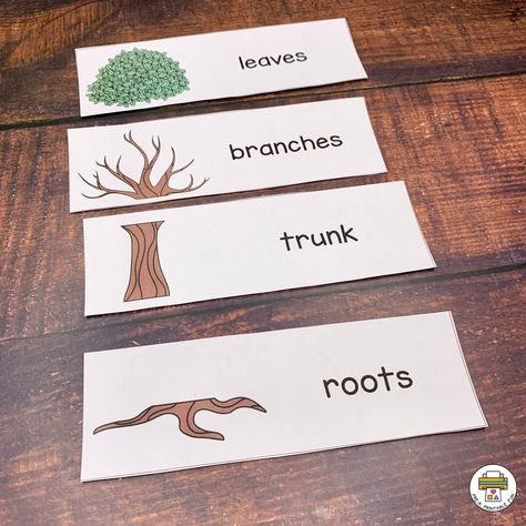 Leaves & Trees Activity Pack - Pre-K Printable Fun Trees Preschool Activities, Tree Preschool Activities, Trees Preschool, Tree Preschool, Creative Curriculum Preschool, Fall Lesson Plans, File Folder Activities, Math Activities For Kids, Tree Study