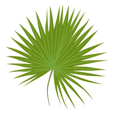 Dwarf palmetto leaf illustration #AD , #ad, #paid, #palmetto, #leaf, #illustration, #Dwarf Palmetto Leaf, Vector Background Graphics, Mural Tropical, Photos Collage, Leaf Illustration, Mo Design, Layout Template, Architecture Photo, Graphic Image