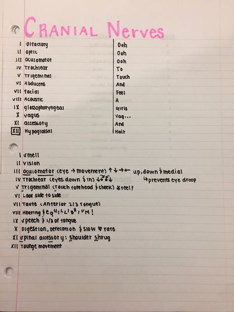 Cranial nerves, mnemonic O,o,o to, touch, and feel, a girls, vag, and hair Mnemonics For Cranial Nerves, 12 Cranial Nerves Mnemonic, 12 Cranial Nerves, Cranial Nerves Mnemonic, Nursing Study Tips, Nursing Cheat, Nursing Mnemonics, Nursing School Survival, Cranial Nerves