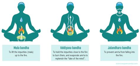 Enlivening the Body's Subtle Energy with Mula Bandha | YogaUOnline Mula Bandha, Bandha Yoga, Frases Yoga, Yoga Kundalini, Yoga Vinyasa, Yoga Lessons, Yoga Philosophy, Yoga School, Yoga Therapy