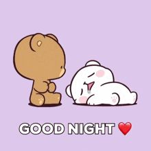 Goodnight Good Night GIF – Goodnight Good night Gn – discover and share GIFs Good Night Gifs Animation, Good Night Sweet Dreams Gif, Sweet Dreams Gif, Goodnight Gif, Cute Good Night Images, Good Night Meme, Good Night Babe, Cute Good Night Quotes, Evening Blessings