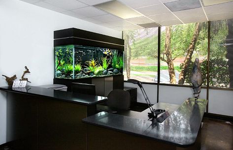 Black aquarium for the office #DIYmarketing #Officespace Modern Fish Tank, Amazing Aquariums, Cool Fish Tanks, Fish Tank Design, Air Tawar, Aquarium Ideas, Nature Aquarium, Home Aquarium, Cool Fish