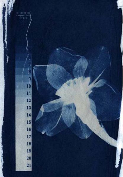 cyano1 Blue And White, Writing, Floral, Blue, White, Black, Art