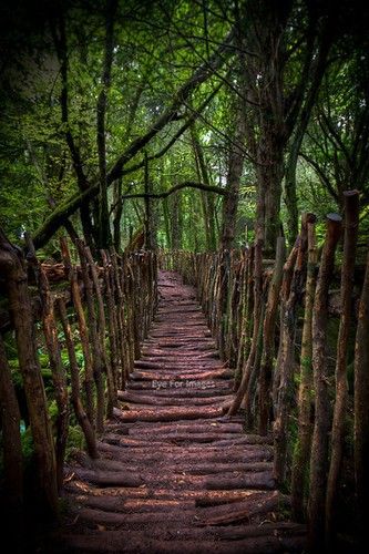 Mysterious pathway... where does it lead? Puzzle Wood, Woodland Elf, Natural Landscaping, Forest Of Dean, Outdoor Stairs, Diy Outdoor Decor, Diy Landscaping, Whimsical Garden, Yard Ideas