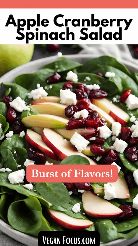 Brighten your plate with our Vegan Apple Cranberry Spinach Salad with Feta! Fresh spinach, crisp apples, sweet cranberries, and crunchy nuts mingle with vegan feta, all tossed in a mouthwatering maple, apple cider vinaigrette. Quick and easy, this salad is a burst of flavors that’s as friendly on your taste buds as it is on your time. Enjoy the vibrant goodness of fall in every bite! 🍏🥗 Make this salad in less than 15 minutes. Plant-based, vegan and gluten free. Spinach Salad With Fruit, Quinoa Salad With Cranberries, Spinach Apple Cranberry Salad, Spinach Salad With Apples And Pecans, Spinach Salad With Cranberries And Feta, Cranberry Apple Salad Recipes, Spinach Salad Vegan, Spinach Apple Salad Recipes, Fall Green Salad Recipes