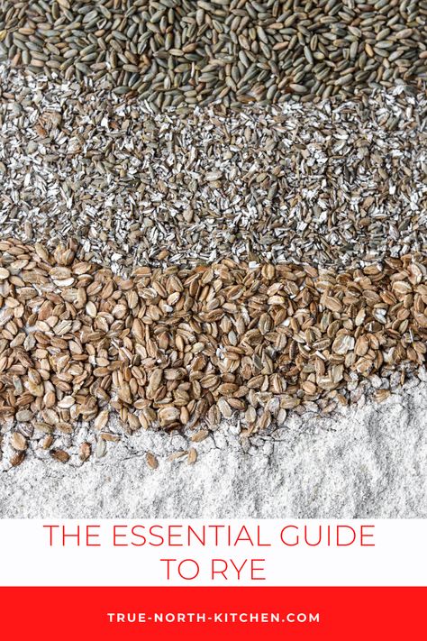 If you are new to cooking and baking with rye or are simply looking for a primer on the basics of working with rye in your kitchen, keep reading for a simple introduction to this delicious and nourishing grain. Rye Recipes, Healthy Grains Recipes, Food Grains, Nordic Diet, Scandinavian Recipes, Rye Grain, Perfect Bacon, Healthy Entrees, Norwegian Food