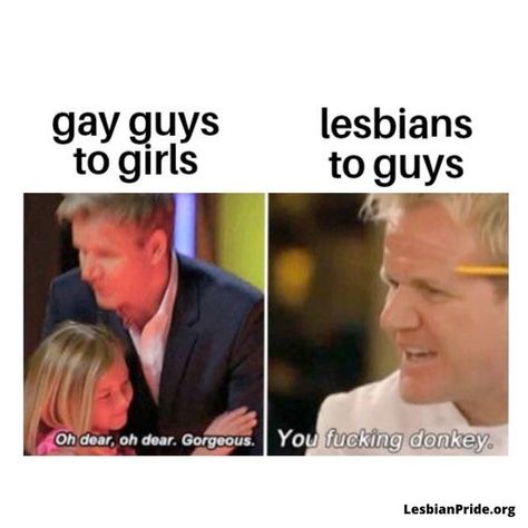 Lgbt Quotes, Lgbtq Quotes, Lgbt Humor, Lgbt Memes, Lgbtq Funny, Gay Humor, Gay Memes, Internet Funny, Really Funny Memes