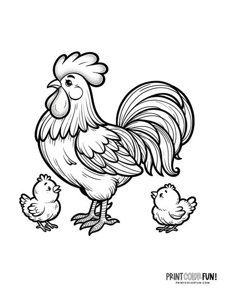 Chicken coloring page from PrintColorFun com 09 Rooster Coloring Pages, Rooster Drawing, Chicken Clip Art, Chicken Coloring Pages, Chicken Clipart, Chicken Coloring, Country Chicken, Hen Chicken, Hens And Chicks