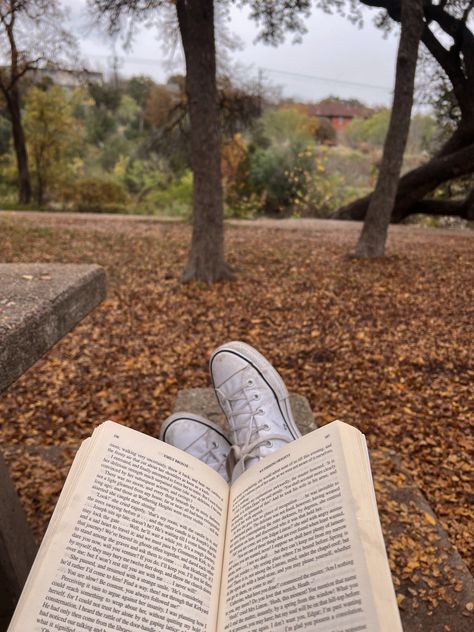 Reading in the park during fall Fall Reading Aesthetic, Reading In The Park, October Celebrations, November Reading, Autumn Reading, Reading Motivation, Fall Mood Board, Fall Reading, Fall Bucket List