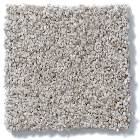 Greige Carpet, Bedroom Carpet Colors, Round Carpet Living Room, Kitchen Carpet Runner, Deep Carpet Cleaning, Red Carpet Runner, Carpet Stores, Hallway Carpet Runners, Brown Carpet