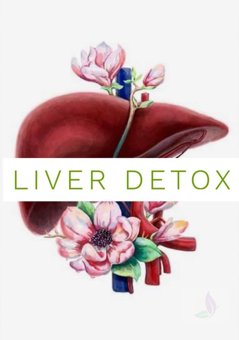 Function Of Liver, Signs Of Overworked Liver, Michelle Baker, Liver Flush, Signs Of Liver Failure, Natural Liver Detox, Water Infusion, Liver Fatty Natural Treatments, Lung Detox