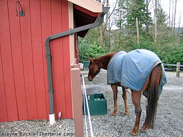 Mud Management, Manure Management, Fall Checklist, Natural Farming, Horse Boarding, Horse Tips, Barn Plans, Horse Farm, Dream Barn