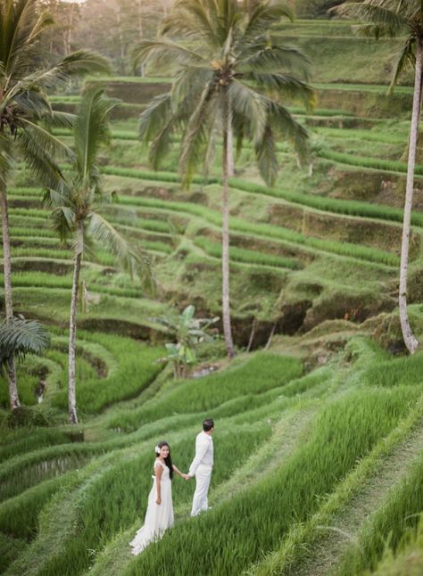 Joy Proctor, Bali Ideas, Bali Travel Photography, Bali Prewedding, Balinese Style, Romantic Theme Wedding, Rice Field, Beautiful Beach Wedding, Rice Terraces