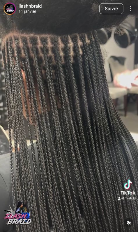 Extra Small Braids For Black Women, Tiny Long Braids, Small Layered Braids, Small Knotless Box Braids Hairstyles, Xs Box Braids, Gray Knotless Braids, Tiny Knotless Braids, Extra Small Knotless Box Braids, Xs Knotless