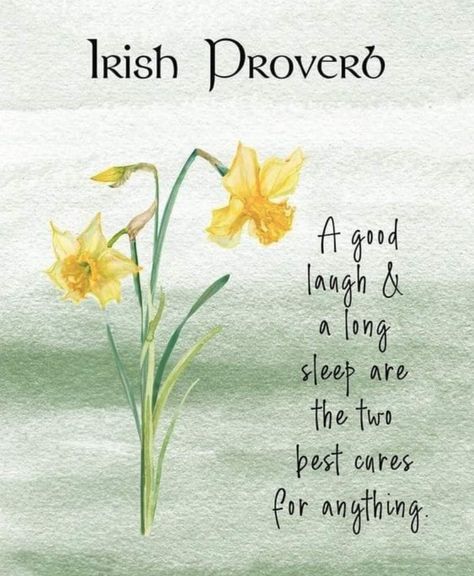 Irish Blessing Quotes, Wisdom Art, Irish Sayings, Irish Proverbs, Irish Quotes, Blessed Quotes, Irish Blessing, Irish Heritage, Luck Of The Irish