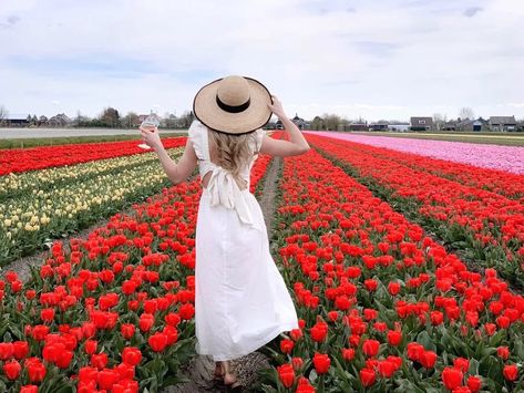 Tulip Fields Outfit, Amsterdam Tulip Fields Outfit, Amsterdam Aesthetic Outfit Spring, Tulip Field Outfit Ideas, Tulip Farm Outfit, Tulip Field Outfit, Amsterdam Spring Outfit, Amsterdam Outfit Spring, Amsterdam Outfit Summer