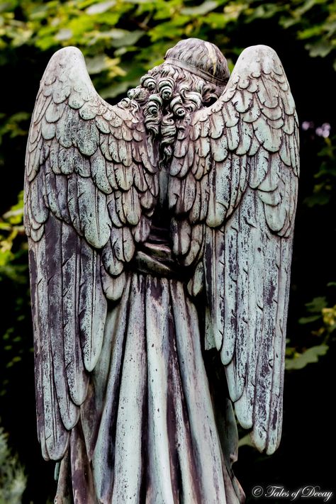 Angel Wings Statue, Angel Statues Aesthetic, Statues With Wings, Angels Statue Aesthetic, Statue With Wings, Dark Angel Statue, Angel Statues Sculpture, Angel Paintings, Overgrown Angel Statue