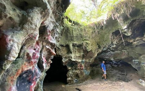 On the Dames Cave Trail in Florida, you can plunge to new depths and discover what lies beneath the surface. Hiking In Florida, Florida Trail, Florida Adventures, Florida State Parks, What Lies Beneath, Forest View, Visit Florida, Spring Trip, Whole New World