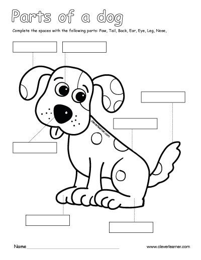 Color Activity, Pets Preschool Theme, Kindergarten Phonics Worksheets, Spotty Dog, Dog Words, Math Sheets, Dog School, Phonics Kindergarten, Kindergarten Crafts