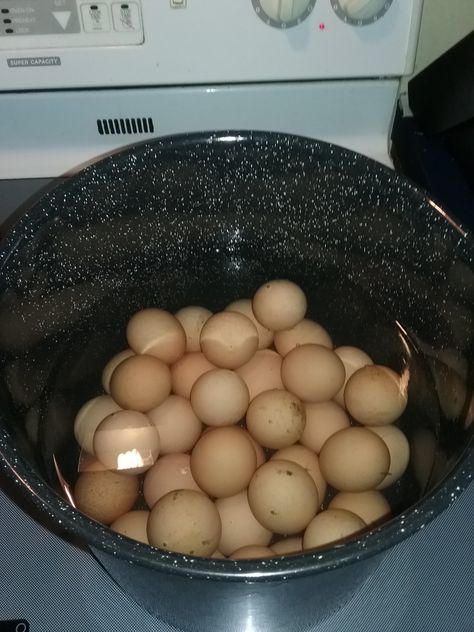 What To Do With Extra Eggs, Extra Eggs What To Do With, What To Do With Eggs, Yummy Egg Recipes, Instant Pot Hard Boiled Eggs, Easy Healthy Snack, Rotten Egg, Perfect Hard Boiled Eggs, Bad Eggs