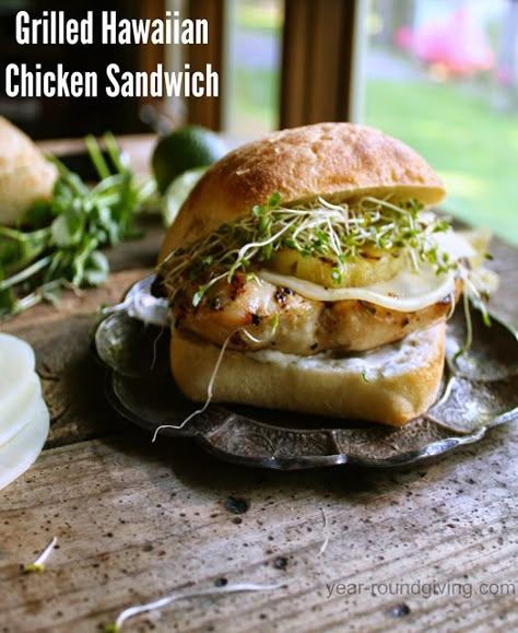 Sandwiches With Sprouts, Sandwich With Sprouts, Cilantro Aioli, Hawaiian Chicken Sandwich, Hawaiian Grilled Chicken, Perfect Grilled Chicken, Grilled Chicken Sandwich, Sandwich Rolls, Ciabatta Roll