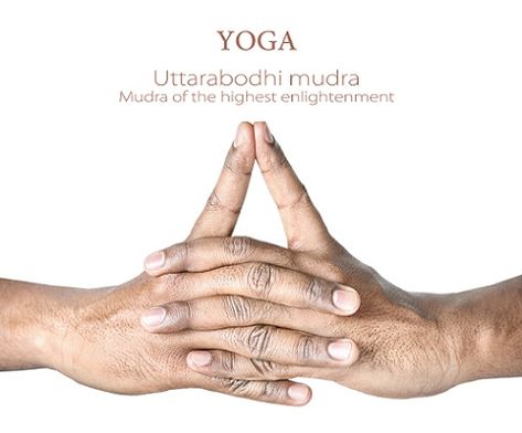 Uttarabodhi Mudra - How To Do Steps And Benefits | Styles At Life Mudras And Mantras, Uttarabodhi Mudra, Gyan Mudra, Hand Mudras, Yoga Hands, Daily Exercise Routines, Heart And Lungs, Learn Yoga, Restorative Sleep