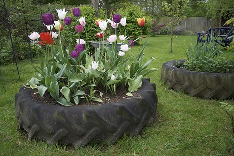 tractor tire planter...grandma had these in her yard. She painted them white to match the house. Actually, all the farmhouses had them around as planters when I was growing up. Recycled Tyres, Planters Ideas, Tire Garden, Tire Planters, Benefits Of Gardening, Tractor Tire, The Whoot, Planter Design, School Garden