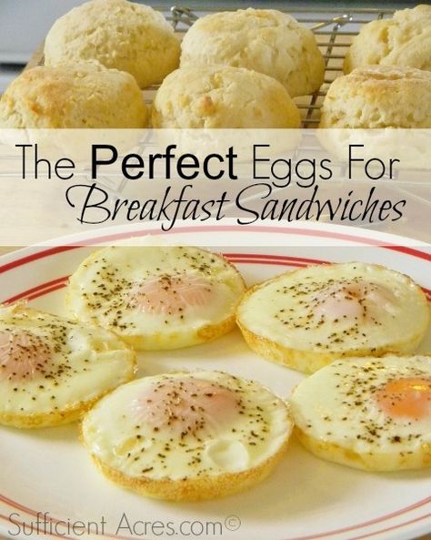 The Perfect Eggs For Breakfast Sandwiches Baked Eggs For Breakfast Sandwiches, English Muffin Egg Sandwich, Eggs For Breakfast Sandwiches, English Muffin Breakfast Sandwich, Egg Breakfast Sandwich, English Muffin Breakfast, Egg Muffin Cups, Egg Sandwich Breakfast, Eggs For Breakfast