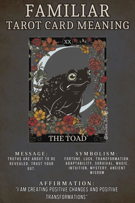 Familiar Tarot Card Meaning: The Toad. This card represents fortune, luck, transformation, adaptability, survival, magic, intuition, mystery, ancient wisdom. Your message is "Truths are about to be revealed. Trust your gut" Rabbit Spirit Animal Meaning, Wolf Meaning, North Mythology, Animal Tarot Cards, Spirit Animal Meaning, Animal Meanings, Witches Familiar, Card Meanings, The Moon Tarot