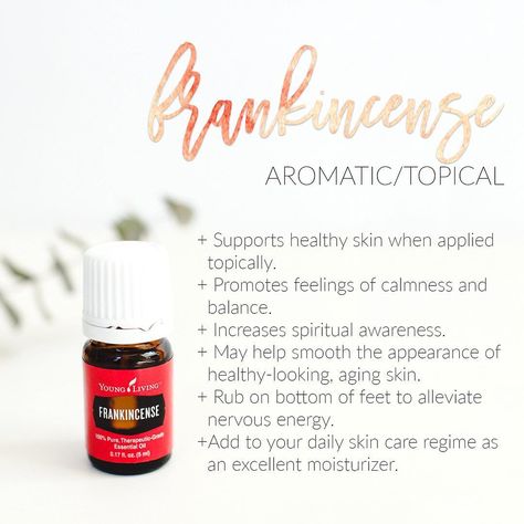 Okay, let's break it down. First on the line-up, FRANKINCENSE One of the best selling YL oils. It is known for its broad range of uses; from increasing feelings of spiritual grounding and balance to supporting healthy vibrant skin! Just to name a few   Fun fact: Young Living is the ONLY company allowed to farm and harvest frankincense in Oman. They have a fantastic relationship with the country and locals, earning their place there! So glad reputation and quality are at the forefront of YL o... Frankincense Essential Oil Young Living, Young Living Essential Oil Diffuser, Oil Quote, Nervous Energy, Essential Oil Education, Young Living Essential Oils Recipes, Yl Oils, Essential Oils Guide, Yl Essential Oils