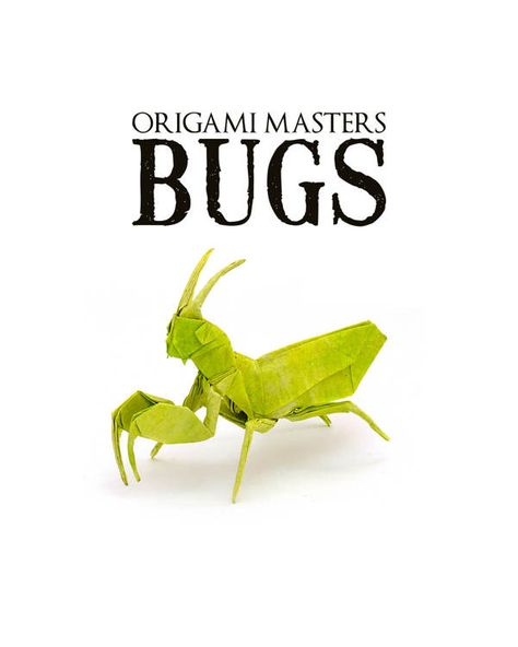 Origami Masters: Bugs by Tim Palin, via Behance Bug Origami, Origami Beetle, Origami Creatures, Origami Bugs, Origami Insects, Origami Lampshade, Creative Origami, Origami Diagrams, Bug Crafts