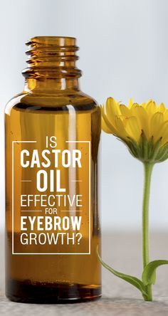 Have you always wished you had thicker eyebrows? Eyebrows play a major role in one’s beauty, and every woman wants to take good care of them Eye Brow Growth, Castor Oil Eyebrows, Thicker Eyebrows, Castor Oil Eyelashes, Brow Growth, How To Grow Eyebrows, Eyebrow Growth, Thick Eyebrows, Get Rid Of Blackheads