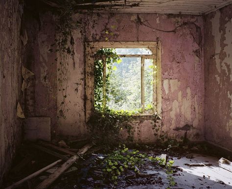 The Eerie Allure of Abandoned Houses | The New Yorker Abandoned Building Aesthetic, Apocalypse Aesthetic, Building Aesthetic, Pastel Grunge, Post Apocalypse, Abandoned Buildings, Abandoned Houses, Post Apocalyptic, Pastel Aesthetic