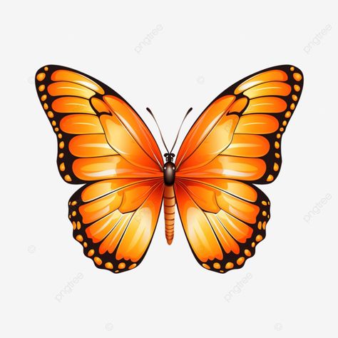 orange butterfly clipart butterfly orange nature png Orange Clipart, Png Nature, Nature Clipart, Clipart Butterfly, Orange Nature, Butterfly Png, Butterfly Clipart, Portrait Background, Fabric Paint Designs