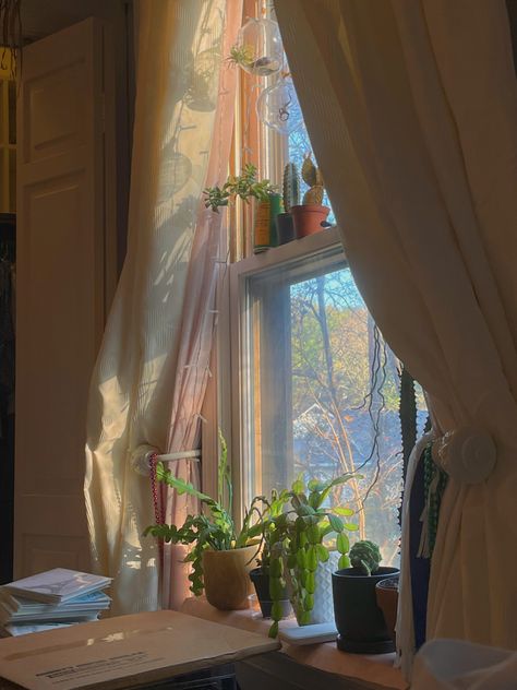 Window With Plants, Cream Curtains, Indoor Window, Evening Light, Large Window, Visual Board, Cool Curtains, Simple Room, Window Light