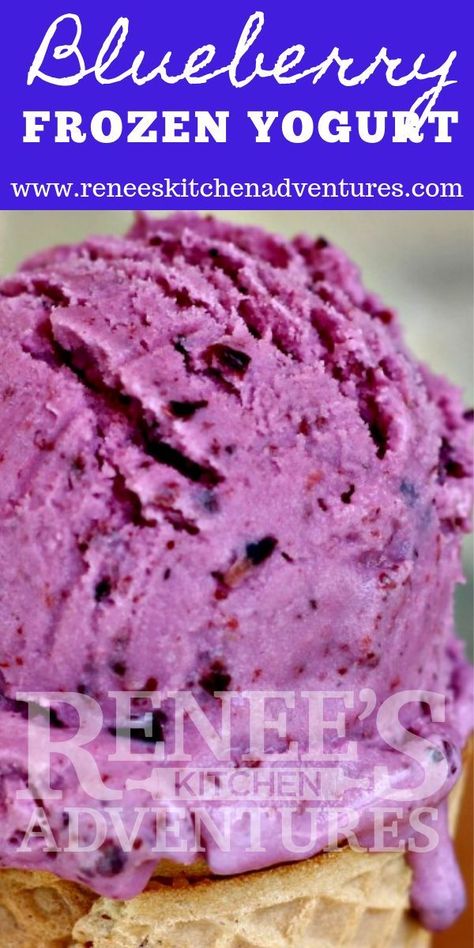 Yogurt Ice Cream Recipe, Blueberry Frozen Yogurt, Blueberry Ice Cream Recipe, Kitchen Aid Ice Cream, Frozen Yogurt Blueberries, Homemade Frozen Yogurt, Yoghurt Recipe, Ice Cream Recipes Machine, Frozen Yogurt Recipes