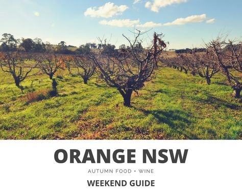 Orange Nsw, Nsw Australia, Painting Lessons, South Wales, New South Wales, Family History, Wine Recipes, Wales, Tourism