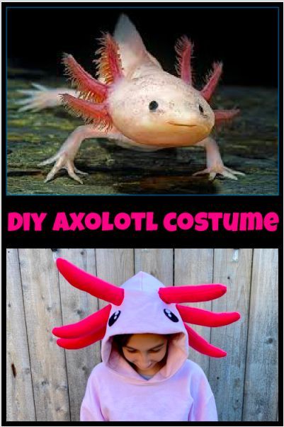 Easy step by step tutorial for making an axolotl costume for Halloween, Cosplay, or a Minecraft Birthday Party. kerricreates.org/2022/01/28/diy-axolotl-halloween-costume/ Diy Axolotl, Axolotl Costume, Halloween Costumes Last Minute, Costumes Last Minute, Halloween Costumes Men, Halloween Havoc, Quick Halloween Costumes, Pink Stuffed Animals, Last Halloween