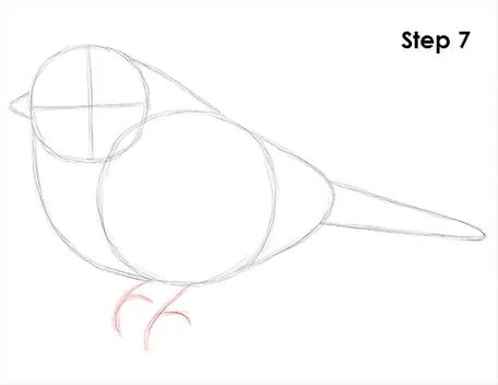 Chickadee Bird Drawing 1 How To Draw A Chickadee Step By Step, Chickadee Outline, How To Sketch A Bird Step By Step, Chickadee Painting Acrylics, Chickadee Coloring Page, Chickadee Drawing, Simple Bird Drawing, Bird Study, Chickadee Art