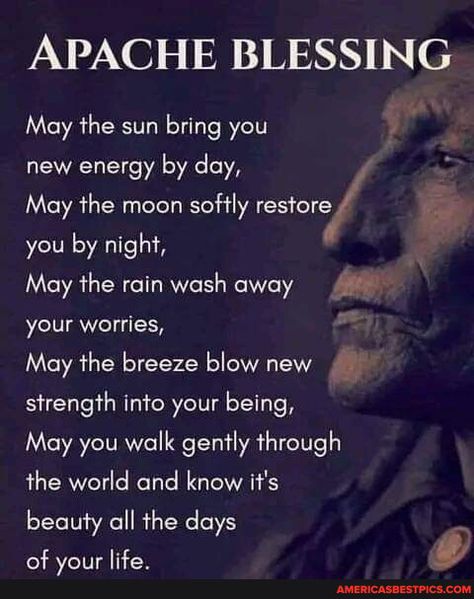 Native American Quotes Wisdom, Native Quotes, American Indian Quotes, American Proverbs, Native American Prayers, Native American Spirituality, American Quotes, Indian Quotes, Native American Wisdom