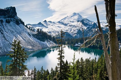 Iceberg Lake (4800 feet elevation), in Mount Baker Wilderness on the Chain Lakes Loop trail. Mount Baker (summit 10,781 feet), Mount Baker-Snoqualmie National Forest, Washington. Forest Washington, Pacific Coast Road Trip, Washington Mountains, Lovely Landscapes, Idaho Travel, Mount Baker, Oregon Hikes, Mt Baker, Washington Hikes