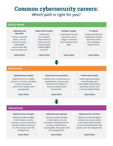 Cybersecurity Career Path, Cybersecurity Jobs, Academic Tips, Cybersecurity Infographic, Computer Forensics, Basic Computer Programming, 2025 Goals, Learn Coding, Learn Computer Science