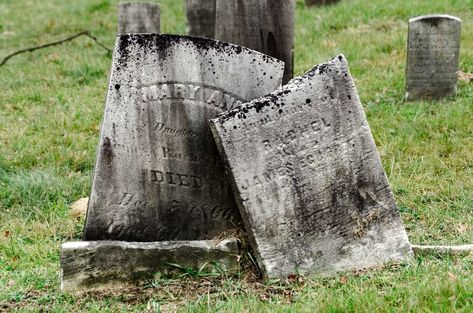 The cooler weather, talks of Halloween, and historical places often lead to stories featuring ghosts. If you’re stationed at Camp Lejeune, you’re in luck. The nearby town of New Bern has lots of opportunities to explore these places. Check out the combination of history—influenced by Great Britain and then by slavery—and see how many ghosts […] The post The Unknown Ghosts of New Bern, NC appeared first on Daily Mom Military. Uss Lexington, Doomsday Survival, First Aid Course, Camp Lejeune, Real Ghosts, New Bern, Living Off The Land, The Unknown, Bern