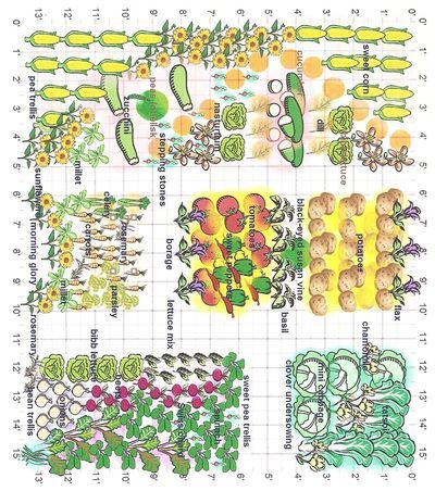 Example of companion planting, I'm inspired...hope it lasts til spring planting time! Companion Planting Layout, Plan Potager, Planting Layout, Companion Planting Vegetables, Companion Gardening, Garden Companion Planting, Garden Layout Vegetable, Vegetable Garden Planning, Homestead Gardens