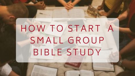 Small Group Bible Study, Starting A Bible Study, Group Bible Study, Small Group Bible Studies, Church Outreach, Retired People, Bible Study Plans, Bible Study For Kids, Bible Study Guide