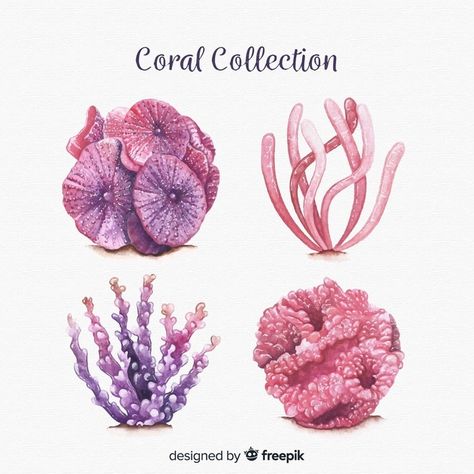 Coral Tattoo, Coral Drawing, Coral Collection, Coral Reef Art, Underwater Plants, Sea Plants, Coral Watercolor, Coral Art, Coral Design