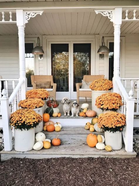 Colorful Farmhouse Fall Porch Steps Fall Porch Steps, Front Door Fall Decor Ideas, Front Porch Fall Decor Ideas, Fall Porch Decorating Ideas, Fall Porch Ideas, Porch Fall Decor, Porch Pumpkins, Fall Decor Inspiration, Fall Front Porch Decor